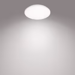 Philips Fonctionnel 8720169196131 éclairage de plafond Blanc LED