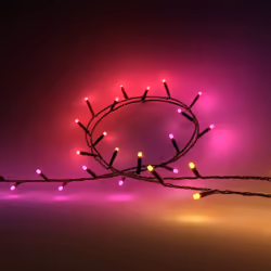 Philips Hue White and Color ambiance Guirlandes lumineuses Festavia, Guirlande lumineuse intelligente, Bluetooth, Noir, LED,  ...