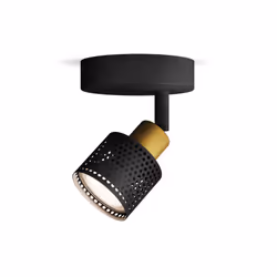 Philips Spot plafond/mur Niall, Spot lumineux sur rail, GU10, 1 ampoule(s), 220-240 V, Noir, Laiton
