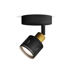 Philips Spot plafond/mur Niall