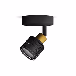 Philips Spot plafond/mur Niall