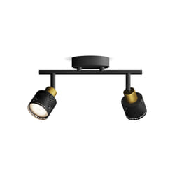 Philips Spot plafond/mur Niall x2