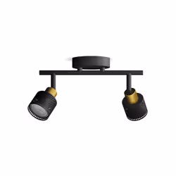 Philips Spot plafond/mur Niall x2