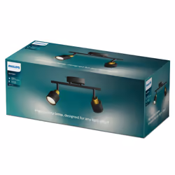 Philips Spot plafond/mur Niall x2