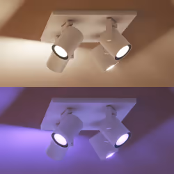 Philips Hue White and Color ambiance Spot quadruple Argenta