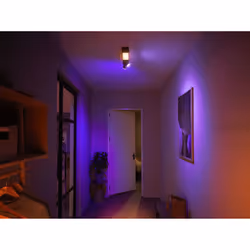 Philips Hue White and Color ambiance Plafonnier Centris 2 spots