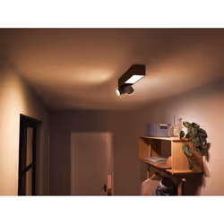 Philips Hue White and Color ambiance Plafonnier Centris 2 spots - Vue supplémentaire 4