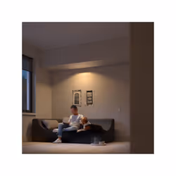 Philips 929003811001 éclairage intelligent Spot d'éclairage intelligent Bluetooth 4,2 W
