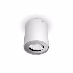 Philips Hue White ambiance Ext. spot unique Pillar