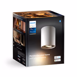 Philips Hue White ambiance Ext. spot unique Pillar