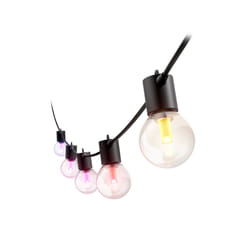 Philips Hue White and Color ambiance Guirlandes lumineuses extérieures à globes Hue Festavia 7 m