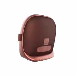Fresh 'n Rebel Soul BT Enceinte portable mono Or rose