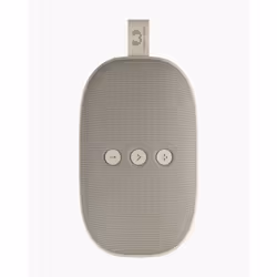Fresh 'n Rebel 1RB6600SS enceinte portable Enceinte portable mono Sable