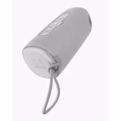 Fresh 'n Rebel Bold M2 Orateur du parti Gris