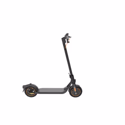 Ninebot by Segway F40I 25 km/h Gris