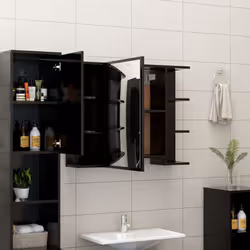 VidaXL 802607 miroir de salle de bain et armoire de rangement pour évier