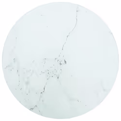 VidaXL 322245, Blanc, Intérieure, 300 mm