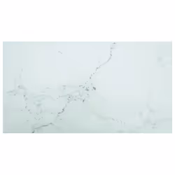 VidaXL 322260, Blanc, Intérieure, 650 mm, 1200 mm