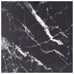 VidaXL 322272, Noir, Intérieure, 700 mm, 700 mm