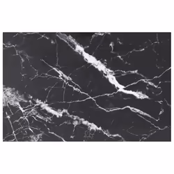 VidaXL 322275, Noir, Intérieure, 620 mm, 1000 mm