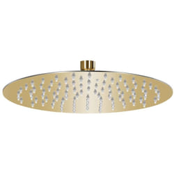 Pomme de douche pluie Acier inoxydable 25 cm Ronde Doré Vidaxl