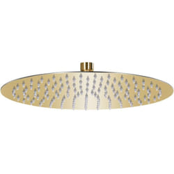 Vidaxl - Pomme de douche pluie Acier inoxydable 30 cm Ronde Doré