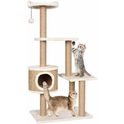 Vidaxl - Arbre à chat avec griffoirs 123 cm Herbiers marins