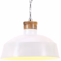 Ajoutez du style à votre intérieur avec cette lampe suspendue d’inspiration industrielle. Elle mettra certainement en valeur  ...
