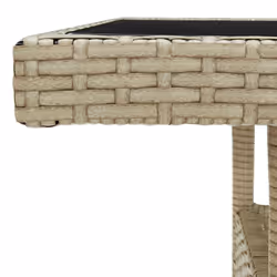 VidaXL 310551 table de jardin Beige