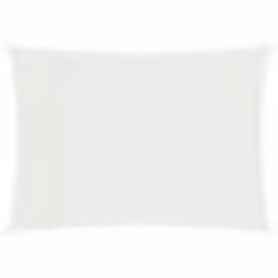 vidaXL Voile d'ombrage 160 g/m² Blanc 4x5 m PEHD - TU