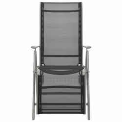 VidaXL 312197 chaise d'extérieur Terrace Aluminium Noir, Argent