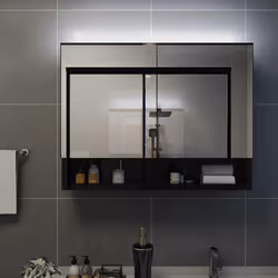 VidaXL 323605 miroir de salle de bain et armoire de rangement pour évier