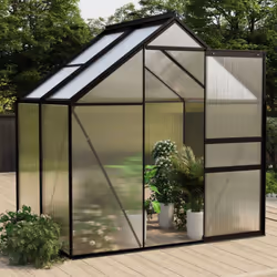 Description générale Cette serre spacieuse offre une surface totale de 2,47 m², idéale pour accueillir une grande variété de  ...