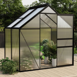 Serre Anthracite Aluminium 2,47 m² Vidaxl
