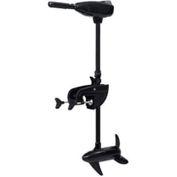 vidaXL Moteur de bateau électrique de pêche à la traîne P16 26 lbs - TU