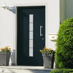 vidaXL Porte d'entrée Aluminium et PVC 100x200 cm - Anthracite