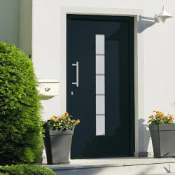 vidaXL Porte d'entrée Aluminium et PVC 100x210 cm - Anthracite