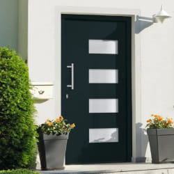 VidaXL Porte d'entrée - Anthracite - 100x200 cm Aluminium PVC