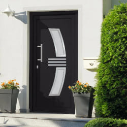 vidaXL Porte d'entrée Anthracite 88x200 cm - TU