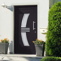 vidaXL Porte d'entrée Anthracite 88x200 cm - TU