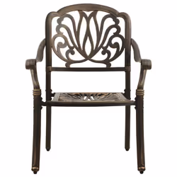 VidaXL 315567 chaise d'extérieur Terrace Fonte d'aluminium Bronze