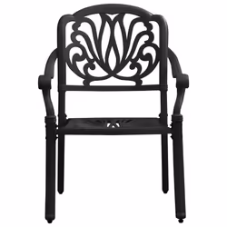 VidaXL 315568 chaise d'extérieur Terrace Fonte d'aluminium Noir