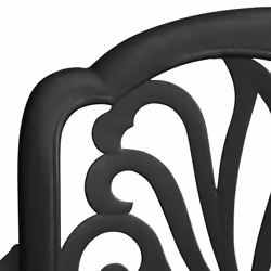 VidaXL 315568 chaise d'extérieur Terrace Fonte d'aluminium Noir - Vue supplémentaire 7