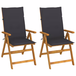 VidaXL 3064059, Terrace, Siège rembourré, Bois d'acacia, Anthracite, Polyester, 570 mm