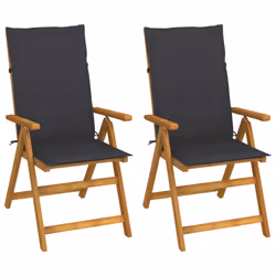 VidaXL 3064089, Terrace, Siège rembourré, Bois d'acacia, Anthracite, Polyester, 570 mm