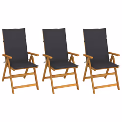 VidaXL 3065347, Terrace, Siège rembourré, Bois d'acacia, Anthracite, Polyester, 570 mm