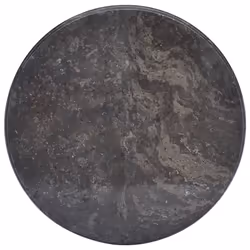 VidaXL 149193, Noir, Intérieure, 500 mm