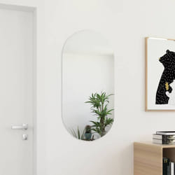 Vidaxl - Miroir 100x50 cm Verre