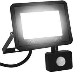 Vidaxl - Projecteur à led avec capteur 30 w Blanc froid