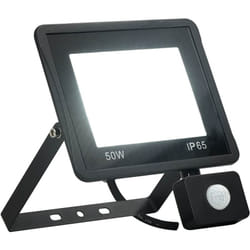 vidaXL Projecteur à LED avec capteur 50 W Blanc froid - TU